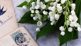 ヴィンテッジなレターセット