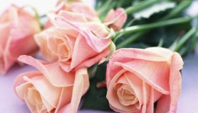 1文字下げたtable